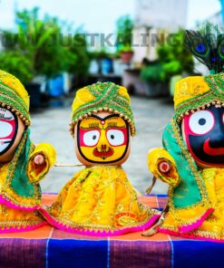 PREMIUM DRESS FOR MAHAPRABHU FULL SET (YELLOW WELBET CLOTH) | Justkalinga.com.